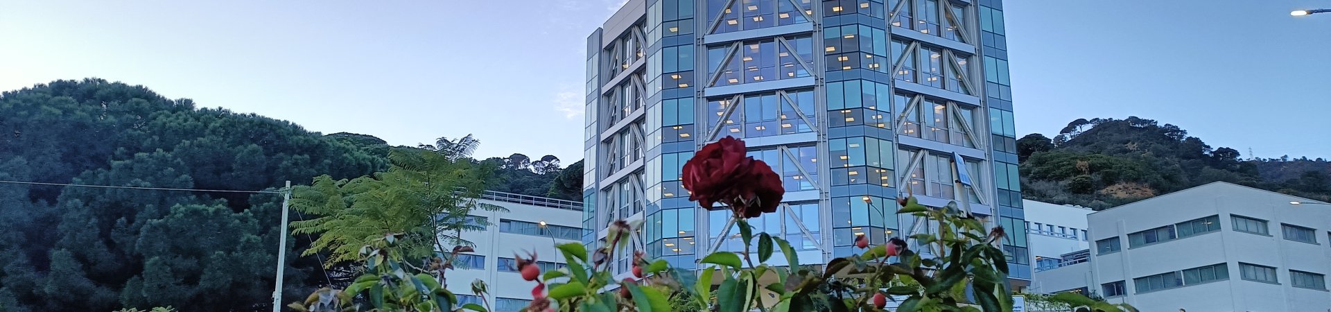 biblioteca